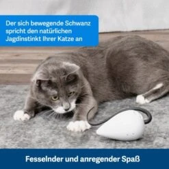 PetSafe Automatisches Katzenspielzeug RoloRat -ROYAL CANIN Verkaufsgeschäft b65e953878b463eb5125c940634b84e8b7c79a3f 1351522 de DE 3daf7dbb27d01ce7d63f06677a32dd6cde28abb9X2tLJP
