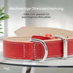 Freudentier Gefüttertes Halsband Aus Leder Rot L -ROYAL CANIN Verkaufsgeschäft b6a6115b4bff2377ef42c420cc3939331dd65eb4 1655241 de DE 6d5809524c7eef7e530141859c494be8d690f770ogbuUj