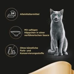 Sheba Selection In Sauce 22x85g Mit Rinderhäppchen -ROYAL CANIN Verkaufsgeschäft b800df8114c326f093107b61560f8730ff102e87 a8b2530b1f4ca4a2bb7b2846cc42c8758b70c829