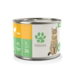 Fellicita Mixpaket Nr. 1 Große Vielfalt 6x 200g -ROYAL CANIN Verkaufsgeschäft b86a40132039cde3fa8fafd7c2b69f35525a7965 1478228 de DE e03233b222914acdf01c3619e7f3501ebaa53bd3Rl6RRq