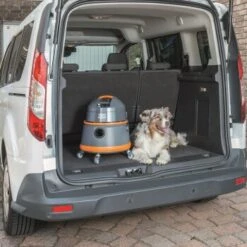 THOMAS Boxer -ROYAL CANIN Verkaufsgeschäft b88f849533b8ebe1b5a7ad5744a96450027d0fae 1406732 de DE 0d542195b78af5d42f192c44669d7c2bbf8e5208f0NCyT