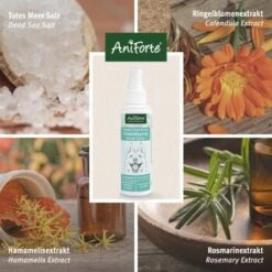 Aniforte Dentalspray Zahnpflege Spray 100ml 10 Aniforte Dentalspray Zahnpflege Spray 100ml -ROYAL CANIN Verkaufsgeschäft b8c2494df30b706b215daba4b3b66c8a0a3adb3b 1439278 de DE f771ceb2289f6e14df78bea1815642d81ce3e3cf9ASqvV