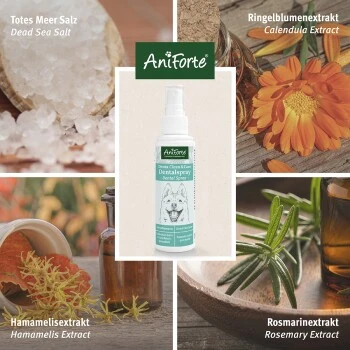 Aniforte Dentalspray Zahnpflege Spray 100ml 6 Aniforte Dentalspray Zahnpflege Spray 100ml – Bild 4