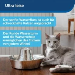 PetSafe Trinkbrunnen Seaside -ROYAL CANIN Verkaufsgeschäft b8c30eb80c3b41d9f97ae45dfa553a3f3cf275d0 1423699 de DE 574133d75b37dd533cfefe79c3b58691ae333d20jypsKp