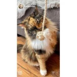 Kater Kasimir Deluxe Set Mit 9 Beliebten Katzenspielzeugen Aus Naturmaterial Und Handgemachtem CATMOM Armband -ROYAL CANIN Verkaufsgeschäft b933584b7dcd56603dddd340f05442bfffc43e18 1408141 de DE 8e1afbeea10c4c53b2e3c89a347993a00031803ayqowzr