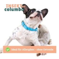 BeG Buddy Trockenfutter Insekten 750 G -ROYAL CANIN Verkaufsgeschäft b951bf103cba0e3ddd39b167b2a9944274144aaa 1457247 de DE 4e178ddbc2b2fdbf0c31f82dc0c4f17ba0e1886aXaHs9j