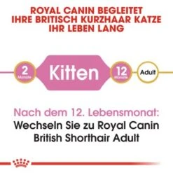 ROYAL CANIN British Shorthair Kitten 2 Kg 12 ROYAL CANIN British Shorthair Kitten 2 Kg -ROYAL CANIN Verkaufsgeschäft b9dcf6abb7a4919bf6fc18b953f6e6aa3597ecf5 b5fbd35505db68c05c613e1187818406628392a1