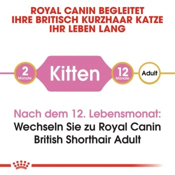 ROYAL CANIN British Shorthair Kitten 2 Kg 6 ROYAL CANIN British Shorthair Kitten 2 Kg – Bild 4