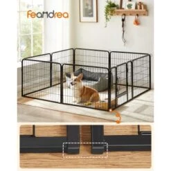 FEANDREA L Hundezaun 8 Platten Schwarz Schwarz 1,6 M, 1,6 M, 60 Cm -ROYAL CANIN Verkaufsgeschäft ba8b8f82a126eee675f3f586011e981f4e5c357b 1500921 de DE af0eb20ce1e15e8fa652c608b62f74df03873bdfGCbSOe