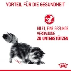 ROYAL CANIN Digest Sensitive 12 X 85 G 16 ROYAL CANIN Digest Sensitive 12 X 85 G -ROYAL CANIN Verkaufsgeschäft ba8f0887f733c8e53f9aa087d9158d7e9bcea30d 1100873 3