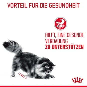 ROYAL CANIN Digest Sensitive 12 X 85 G 5 ROYAL CANIN Digest Sensitive 12 X 85 G – Bild 3