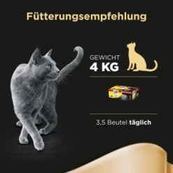 Sheba Delikatesse In Gelee 40x85g -ROYAL CANIN Verkaufsgeschäft bbaa02f757fde6870dc20a49fc3a0038b9dee9ca da996aa0a5acf0483f2a5edefc15d5dc9cb6c05f