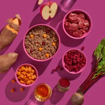 Fred & Felia FRED 10x390g Pferd Mit Süßkartoffeln 6 Fred & Felia FRED 10x390g Pferd Mit Süßkartoffeln – Bild 4