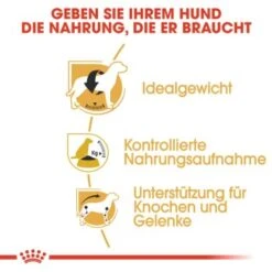 ROYAL CANIN Beagle Adult 3 Kg -ROYAL CANIN Verkaufsgeschäft bd1d862302227d3355d22f5dd63b0fb6e01c0979 a169571c5cbde6082adf0be87e23db9042e69066