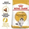 ROYAL CANIN Norwegian Forest Adult 10 Kg -ROYAL CANIN Verkaufsgeschäft bd83a183df54eafc735ca3741efaa322963d8d08 42b902f08d40bd229708b3798bea84cf9f6eb4ae