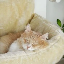 Schlitzohr Heizungsliege Lucky Beige 20 Schlitzohr Heizungsliege Lucky Beige -ROYAL CANIN Verkaufsgeschäft bdc02033928d033279e49ebefe91371e629dfd2f 1484673 de DE 4daf09016934a9074c92f48c173e840fa6385a4agwWEjb