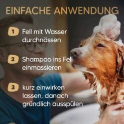 Pawlie's Welpenshampoo -ROYAL CANIN Verkaufsgeschäft be59e8c873c9c55a34a4af87672e3f41c7ec8553 1626204 de DE 0e93cfef805ae9948cc20f31411a0ad2b476eab7e9RNIg