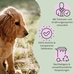 FAVLY Petfood PURE Bites Veggie 360 G -ROYAL CANIN Verkaufsgeschäft bec0cf8f032cb202461664cbfe5564f4eeab2e9b 1474000 de DE 9c441cea117e17df2d31039760b88fa0cc1eb6acALFkfB