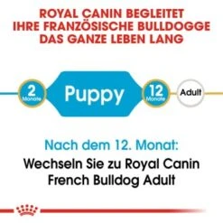 ROYAL CANIN Französische Bulldogge Puppy 10 Kg -ROYAL CANIN Verkaufsgeschäft befb896477110fd4ca019a75a553c8bfdcd54d1e be3179f375bd2ab2609f4028d953e0623ad3c9e7