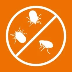 Ardap Spot-On Für Katzen S -ROYAL CANIN Verkaufsgeschäft c00afedd838d70c54a5287206443466647f5dedf 1150895 de DE 216402434a597a152b5e3e2d02d3c041c3a61282I3NWL5