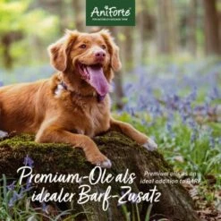 Aniforte Futteröl Premium BARF-Line 1 Liter -ROYAL CANIN Verkaufsgeschäft c11fa3ad0ee5c6826c484345380568a056b17d4e 1422212 de DE 471b9cb1eddf1a4e11196a5eee91fabdcb31b23fFEv6G3