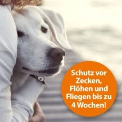 Ardap Zeckenspray Zur Anwendung Am Tier 250ml -ROYAL CANIN Verkaufsgeschäft c211242df7e08f33fd5b606730fbf3d298e6cd4c 1288166 de DE 0495e7c3c66b5adb548c78a490f9c5a9804bc777AYMdPn