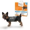 Thundershirt Beruhigungsweste Grau XS -ROYAL CANIN Verkaufsgeschäft c22057e0edeaabdc851b9e8e6741a422484760ad 1102942 1