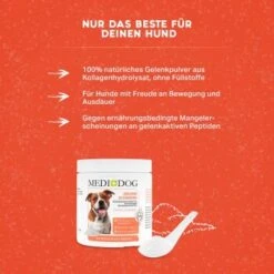 MediDog Gelenkschmiere -ROYAL CANIN Verkaufsgeschäft c2260bdbd924fcc5c3919c27254c4c1dc8dd9d9a 1660407 de DE 24aca3d9f49784b2b40f2e4078cdf1aaa1e37af9iudOQZ