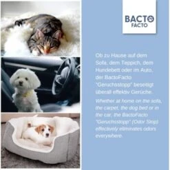 ChronoBalance BactoFacto Probiotischer Geruchsstopp Pads Für 2 Liter 20 Ml 13 ChronoBalance BactoFacto Probiotischer Geruchsstopp Pads Für 2 Liter 20 Ml -ROYAL CANIN Verkaufsgeschäft c27e75fc226c89e592b2af9866887997e79057a8 1397549 de DE 11eaf103bff429178d8c79950fc83faf63345183BU6JEF