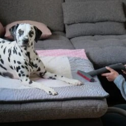 THOMAS AQUA+ Pet & Family -ROYAL CANIN Verkaufsgeschäft c3381bf4158feb85ebfd3f3d8bb59ef108b95290 1408595 de DE f1089c65a30ba894d2939997310129f1b316d2cdCtnGOW