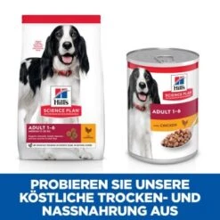 Hill's Science Plan Adult 12x370g Huhn 14 Hill's Science Plan Adult 12x370g Huhn -ROYAL CANIN Verkaufsgeschäft c436bb86b2bb768470713b4c88ec769793ca6f5f 52742050782 7