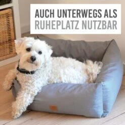 KaraLuna Autositz Kleine Hunde -ROYAL CANIN Verkaufsgeschäft c43a66d74eef51b612eae7a548cb2b038009505b 1657442 de DE c74c72488e6718cfafbeff5d99ede07a37048260HkNpMo