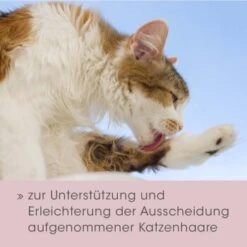 FeliTATZ Bio-HaarballenÖl 50 Ml -ROYAL CANIN Verkaufsgeschäft c4d33c70705cec7e2ba5118dbcaa94288f2db3b7 1343782 de DE 347ff24b7611bf7d4b979f7a2ded1282589b3bc5HMU5Sc