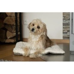 TrendPet Heaven Gefütterte Liegedecke Beige XS -ROYAL CANIN Verkaufsgeschäft c5c66fc687d35a3e6773ef1448666519ab0b2e08 1247692 de DE 81f160c83e2294ffce25bd46e4e5f7822b6791cdSRCcNt