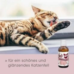 FeliTATZ FellGlanz -ROYAL CANIN Verkaufsgeschäft c632389ff5554b3f77a4c07b5dcd4d35f428a2c1 1666313 de DE aef5012fb4dd575d53ef4492b6faf7c4f11752ddfl85CX
