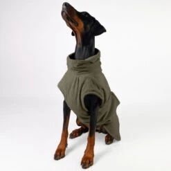 THE DOG IDEA Bademantel Every Khaki XXXS -ROYAL CANIN Verkaufsgeschäft c6567ee5fa23ab9a22b56936e6d4134ee2acea14 1473018 de DE 152849e6e27b535b9a56967a3d0992ac03ebbc6b46CQen