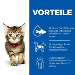 Hill's Science Plan Kitten Thunfisch 7 Kg -ROYAL CANIN Verkaufsgeschäft c6fb28c1a799efc2b3725ee5b7be61613fad29ae 52742024431 4