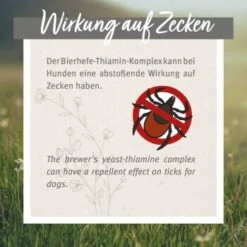 Aniforte Zecken Schild (10 Bis 35kg) Für Hunde 60 Kapseln -ROYAL CANIN Verkaufsgeschäft c72a222a3a037a54212d2d57806535f00b009a34 1332832 de DE 6700813aa03bffd9cf2beb8a7d73b7965a418ce5FkR7KE