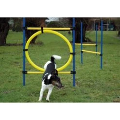 Dobar 3-teiliges Agility Sprung-Set,, Inkl. Tragetasche -ROYAL CANIN Verkaufsgeschäft c7c9dd298510f0bd74d586405ecbd396df04c759 313726f2dd166c5ec13855d4374275bbe5eeeeec