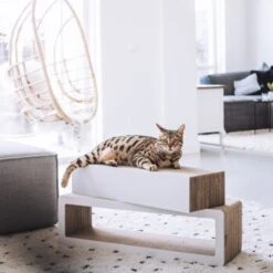 District 70 STRETCH -ROYAL CANIN Verkaufsgeschäft c7e217e189c4c0bb9b1b8ed3223bf45ded06649b 86c2b7def285f0c56fc99115c277d70af97993e8