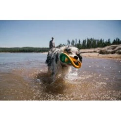 Ruffwear Hydro Plane™ Spielzeug L Blau/ Türkis -ROYAL CANIN Verkaufsgeschäft c85f56c174e45f26bb8b85eb8209e1187b03cb62 1364299 de DE 9aa31f36273b943af3517e0584e57ea49be3ad7aNQkaUi