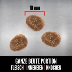 Orijen Six Fish Cat 1,8 Kg 7 Orijen Six Fish Cat 1,8 Kg -ROYAL CANIN Verkaufsgeschäft cafd9eed34caceae0ddd2734682e0d592d2328e0 1261001 de DE ORI Six Fish Cat Carousel 2000x2000 DE2 3