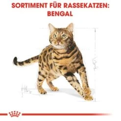 ROYAL CANIN Bengal Adult 10 Kg 14 ROYAL CANIN Bengal Adult 10 Kg -ROYAL CANIN Verkaufsgeschäft cb3c9b745b0cf6e86ca2308b544461de43105143 e7122eb5a9e8a316aad32423edb5418ecd6d24cd