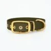 THE DOG IDEA Biothane Halsband Gold Khaki M 1 THE DOG IDEA Biothane Halsband Gold Khaki M -ROYAL CANIN Verkaufsgeschäft ccb7f297d138c680b79d54431fec864035ca1448 1655419 de DE f73a599fd7bd8b41d43fc994a962bf949a61e7f6pnKrVu