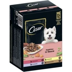Cesar Portionsbeutel Multipack Selektion In Sauce 48x100g -ROYAL CANIN Verkaufsgeschäft ccd05722b99601d75ac4f5e273d4491284f6edd1 1394127 de DE Cesar 2