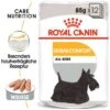 ROYAL CANIN Dermacomfort 12x85g -ROYAL CANIN Verkaufsgeschäft cd66adbeb112d8b4449ca88ca88d62a13de2b463 e80f4a6651615b70a3941d70af71b58909332d87