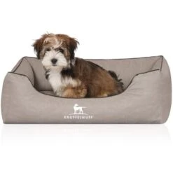 Knuffelwuff Orthopädisches Hundebett Rockland Aus Kunstleder Hellgrau M-L -ROYAL CANIN Verkaufsgeschäft cddbe657f65275c958b8c0c7cf556c70e548410b 1411979 de DE 2db7865b3b4dcec9e1306995fbe3319c3155ec59hlJfQB