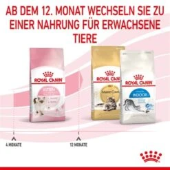 ROYAL CANIN Kitten 4 Kg 17 ROYAL CANIN Kitten 4 Kg -ROYAL CANIN Verkaufsgeschäft cf133300f1a1c045b6143772211651d61c06ad62 3182550702973 7