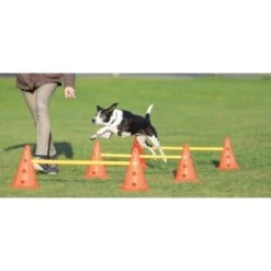 Trixie Dog Activity Hindernisse Ø23x30cm -ROYAL CANIN Verkaufsgeschäft cf5032631aac0df221da4281f2bf49a2321f1aa1 1287032 de DE Trixie Hindernisse wb 1
