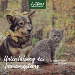 Aniforte Bio Kokosöl 400 Ml -ROYAL CANIN Verkaufsgeschäft cf891a21e9b38fc25e7426a3c8c82ead8da582ac 1458838 de DE 889e7afee65c0b82eee0e0cfafb8b4e7cf9d1be4fEkt3D